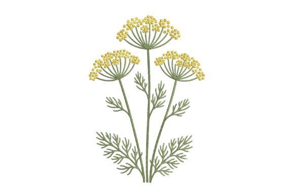 Umbel Flower Embroidery Design